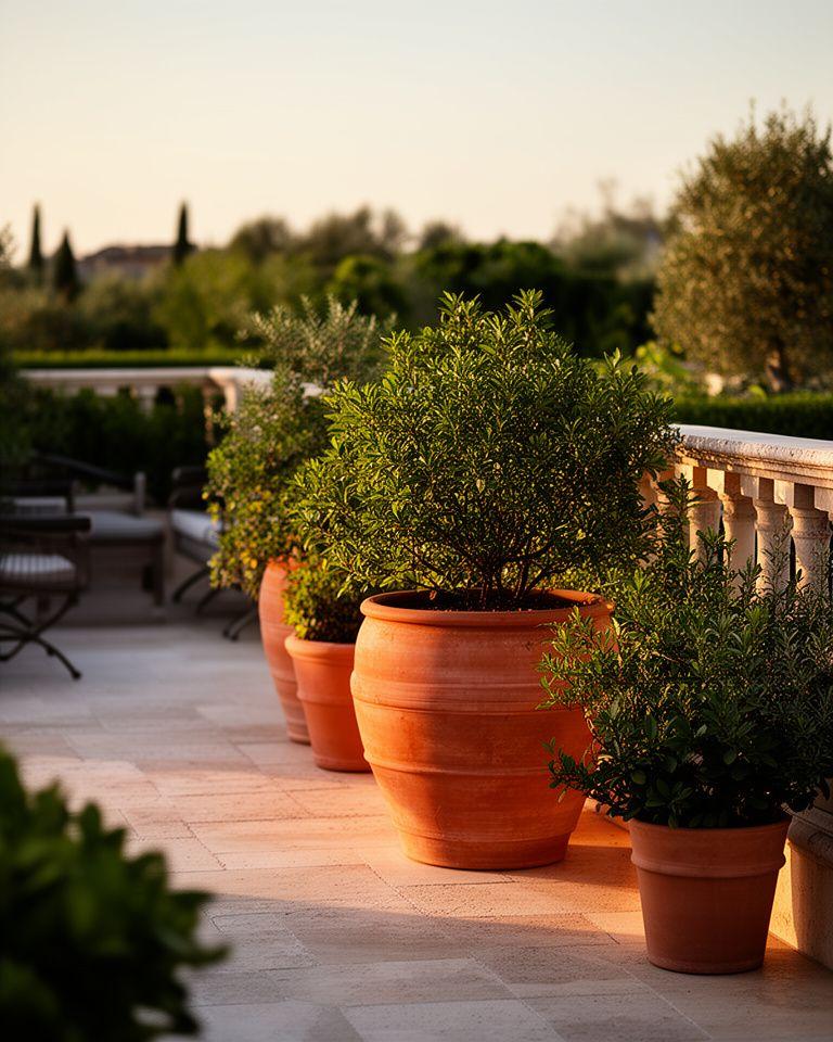 Terrakotta-Pflanzgefässe auf einer eleganten Terrasse mit weichen Schatten und mediterraner Bepflanzung